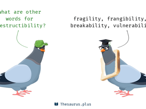 destructibility