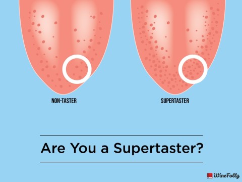 taster