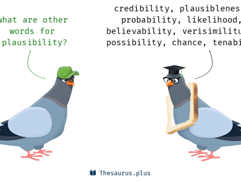 plausibility