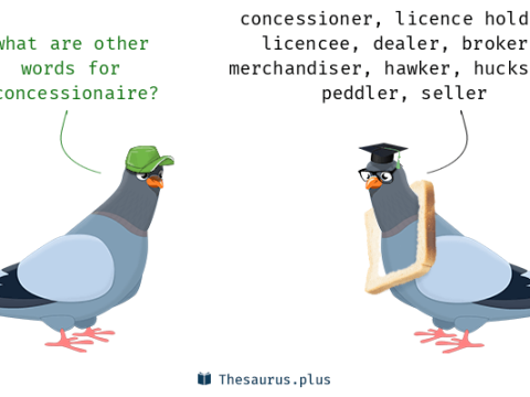 concessionaire