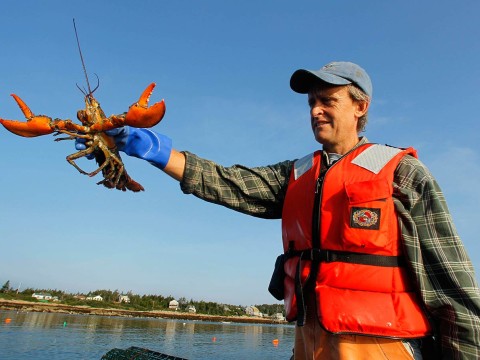 lobsterman