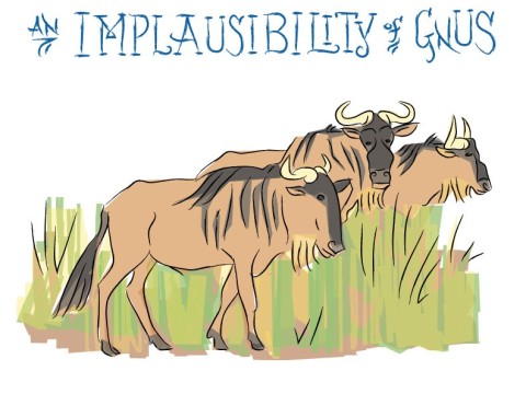 implausibility