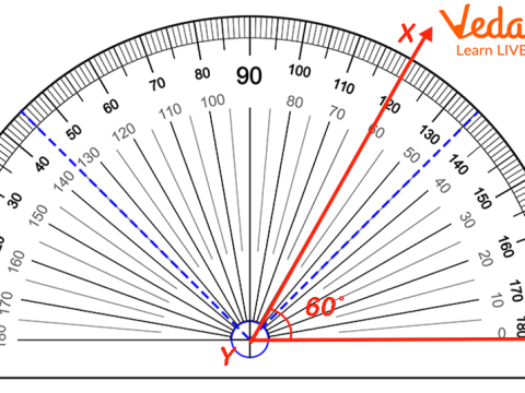 protractor