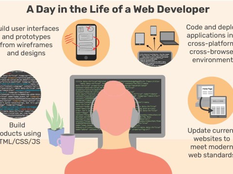 developer