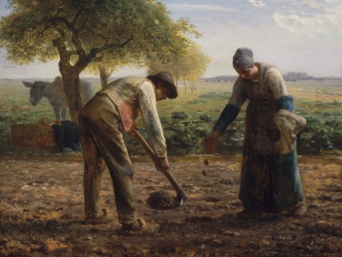 peasant