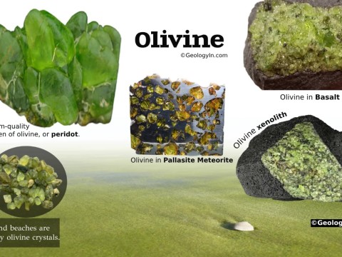 olivine