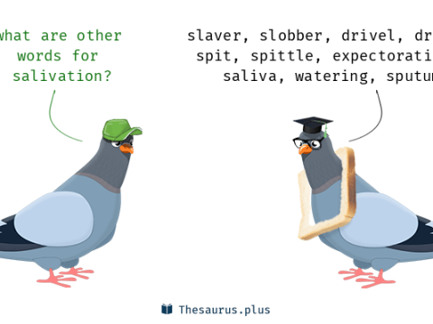 salivation