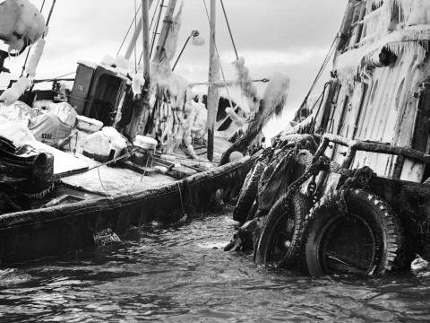 salvor