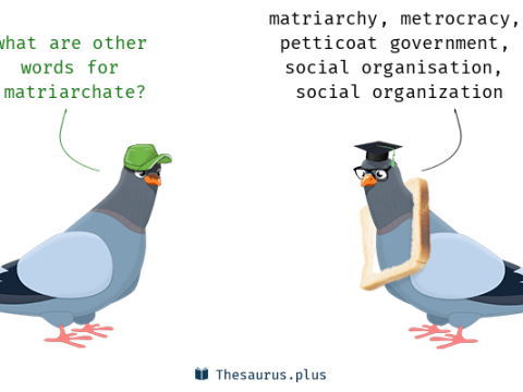 matriarchate