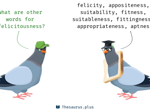 felicitousness