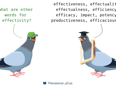 effectivity