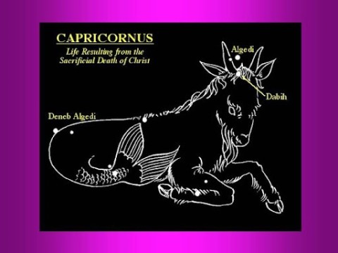 capricornus