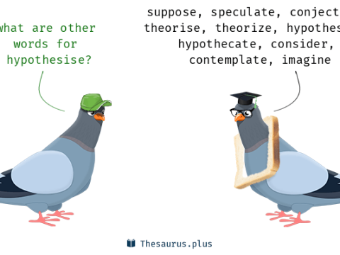 hypothesise