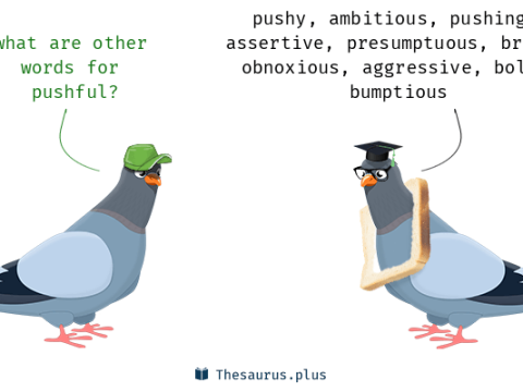 pushful