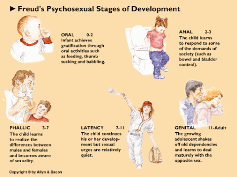 psychosexuality