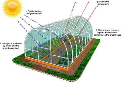 greenhouse