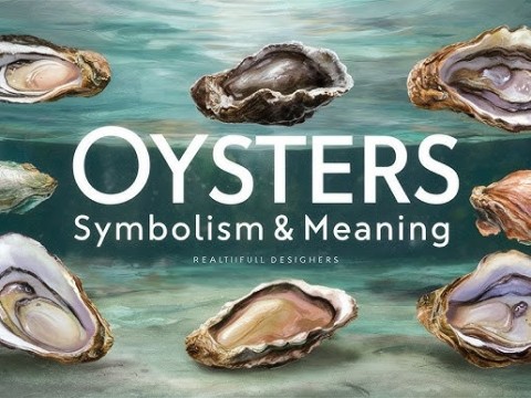 oyster