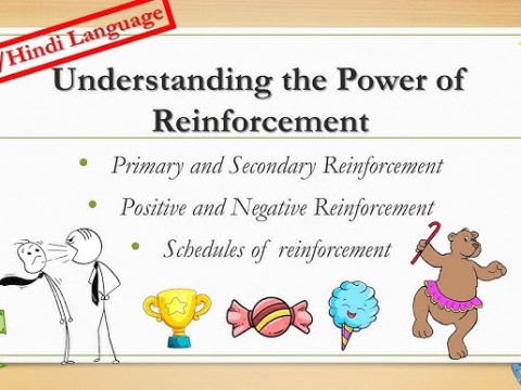 reinforcement