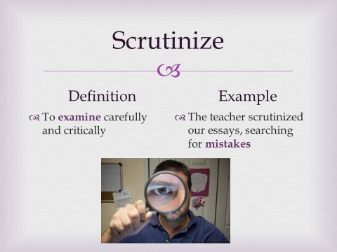 scrutinize