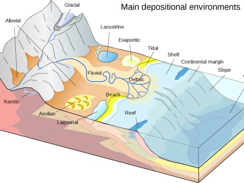 sediment