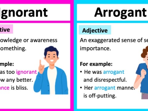 arrogance