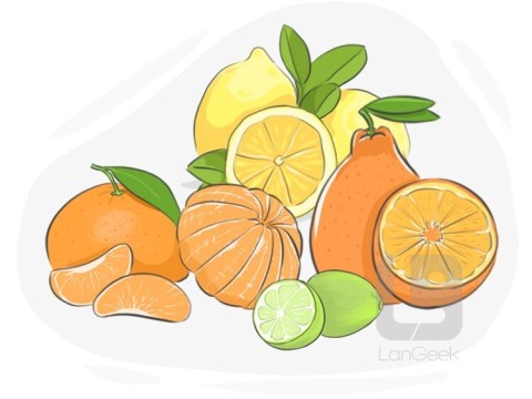 citrus