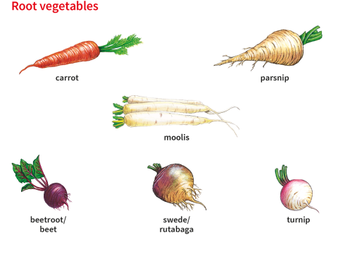 beet