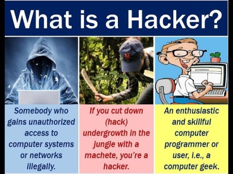 hacker